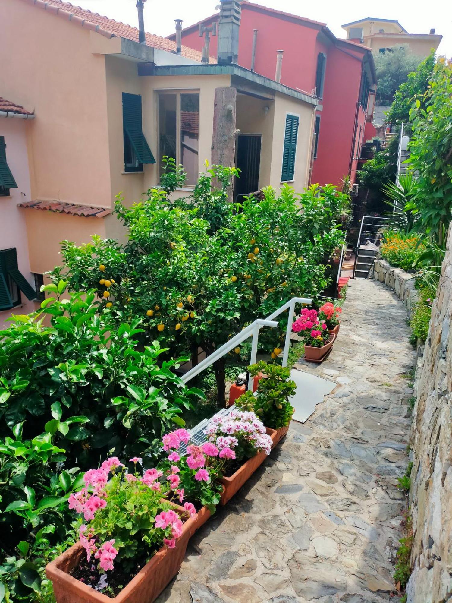 Affittacamere Fiorella Riomaggiore Exterior foto